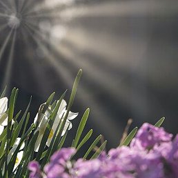 ��, ������, 40 ���