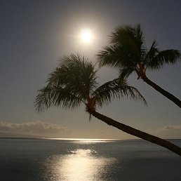 ������, ������, 21 ���