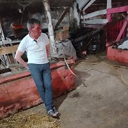 ����, 40 ���, ������