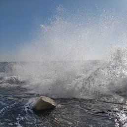 ���� �����, ������ - ��������� 14 ������ 2026