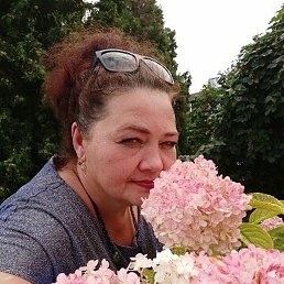 ��������, ���, 56 ���