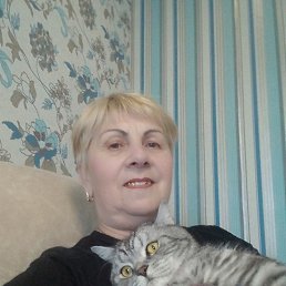 , 61, 