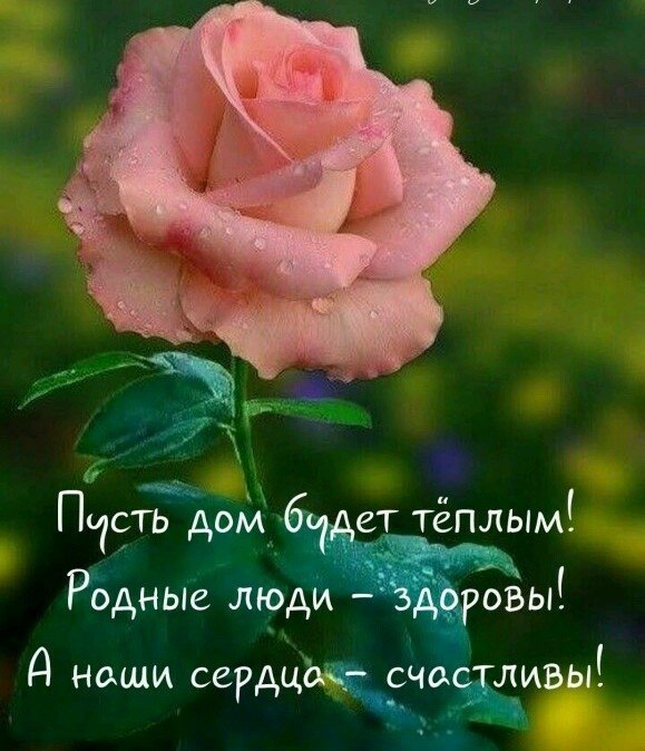   ,    . - 18  2025  00:34