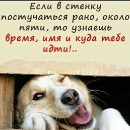 ���������, �����������, 48 ���