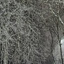 ���� ���������, ����� - ��������� 26 ������ 2026 � ������ ��������