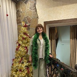 ���� �������, ����������, 58 ��� - ��������� 2 ������ 2026