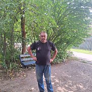 , 53 , 
