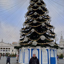 ���� ��������, ������, 46 ��� - ��������� 10 ������ 2024