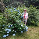 ���� �������, �����������, 58 ��� - ��������� 3 �������� 2025