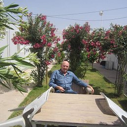 Adamarc, �������, 51 ���