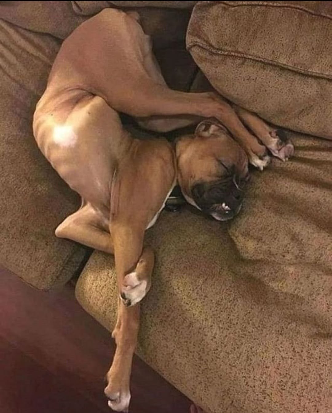  Vechnopodkayfom - 7  2025  11:19