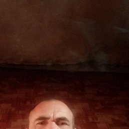 , 49 , 