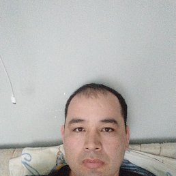 , 32, 