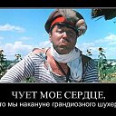 ���� ������ ����, ����, 65 ��� - ��������� 9 ������� 2025 � ������ ���� ����������