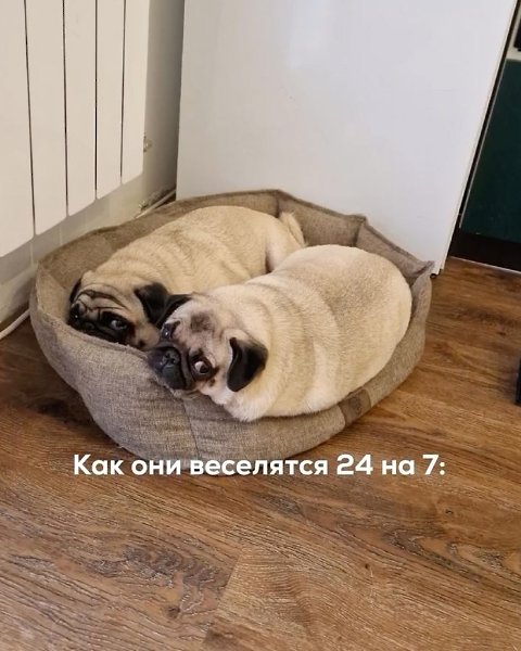 ������, ��� ��� ��... - 2