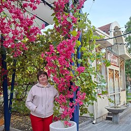 ����, ������������