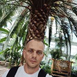 ivan, 41, 