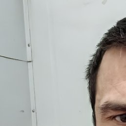 ������, ��������, 41 ���