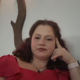 ���� �������, �������, 43 ���� - ��������� 13 ���� 2026
