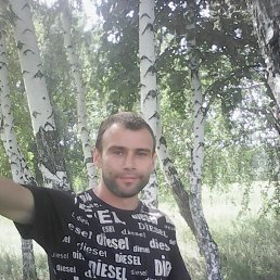 ���� ������ ����������, ������, 44 ���� - ��������� 1 ����� 2024