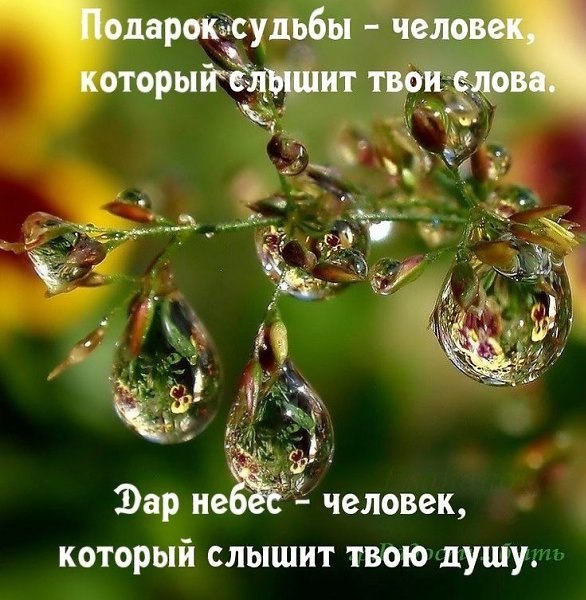   - 8  2025  19:21