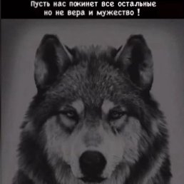 ������, ���������, 37 ���