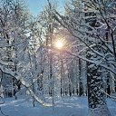���� ����, �����-��������� - ��������� 15 ������ 2025 � ������ ������ ��������