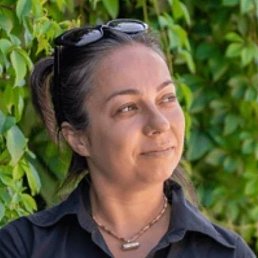 ������, �����-���������, 46 ���