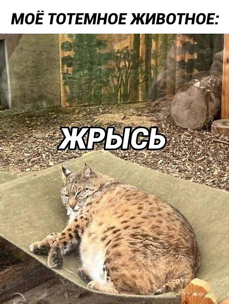 !