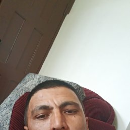 , 39, 