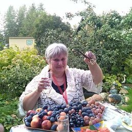 ������, ������, 65 ���