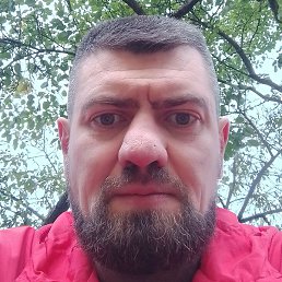 ���, �����, 40 ���