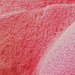 ���������, �����, 40 ���