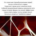 ���� ��������, �������, 55 ��� - ��������� 12 ������� 2026 � ������ ������ ��������