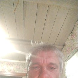 , 44, 