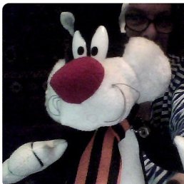 ���������, �����������, 55 ���