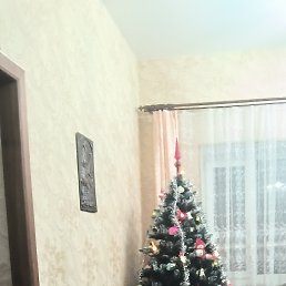 ���� �������, �������, 53 ���� - ��������� 15 ��� 2026