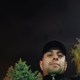 , 29, 