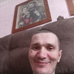 ���� ����, 43 ����, ����