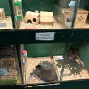 ���� Kaspersky, ������, 36 ��� - ��������� 14 ������ 2026 � ������ ������������ ������� 2025�