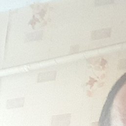 , , 41 