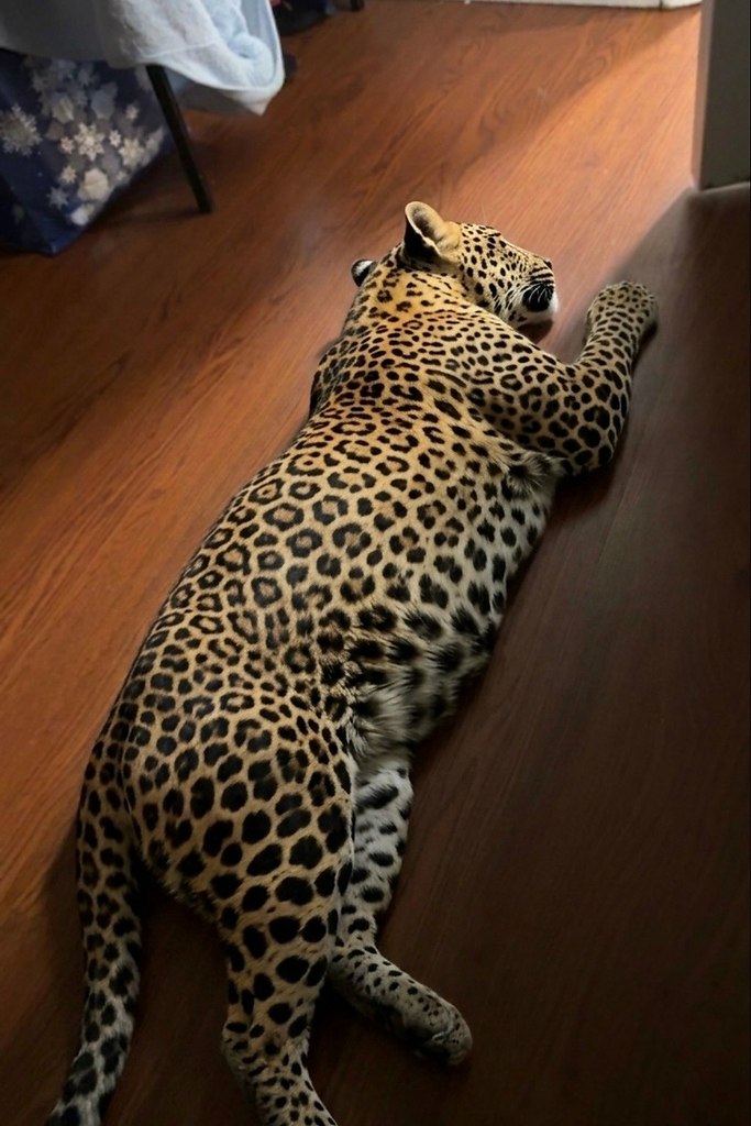 ����������