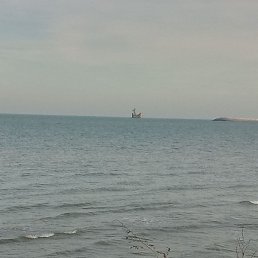 ������, ������, 38 ���