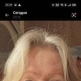 ���� ����, �����-���������, 49 ��� - ��������� 11 ���� 2026