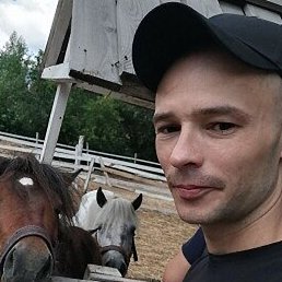 ������, ���������, 36 ���