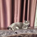 ���� ��������, ������ - ��������� 25 ������ 2025 � ������ ������ ��������