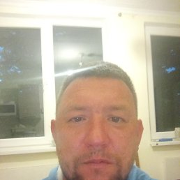 ������ �������, 41 ���, ������