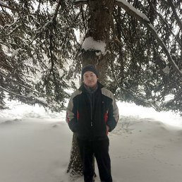 ����, �����, 37 ���