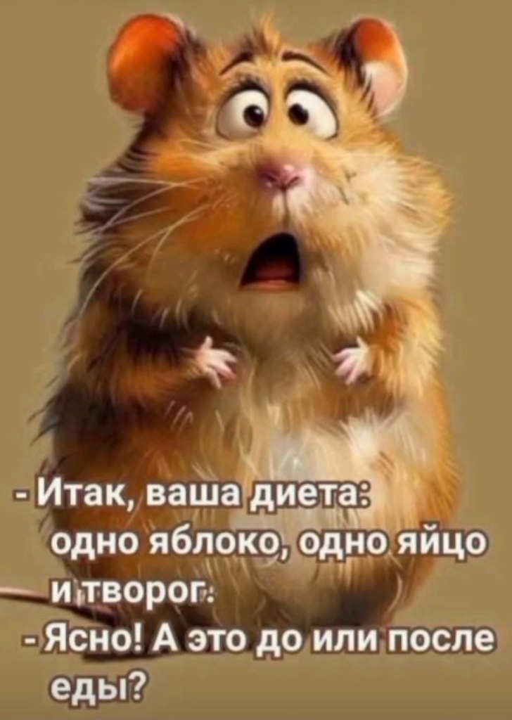  - 11  2025  06:09