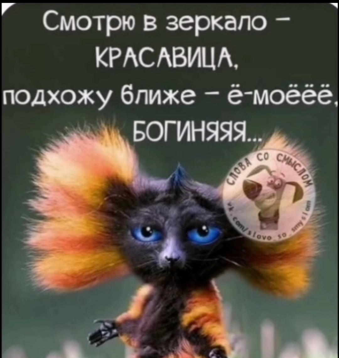  - 23  2024  18:37 - 2